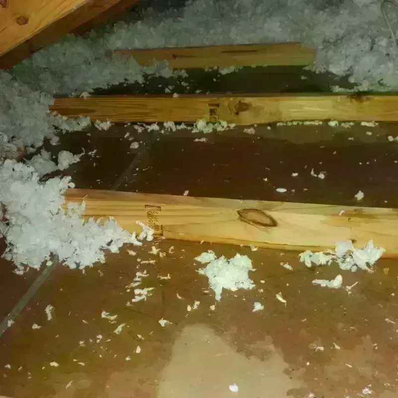 Attic Water Damage in Cottonwood, AZ