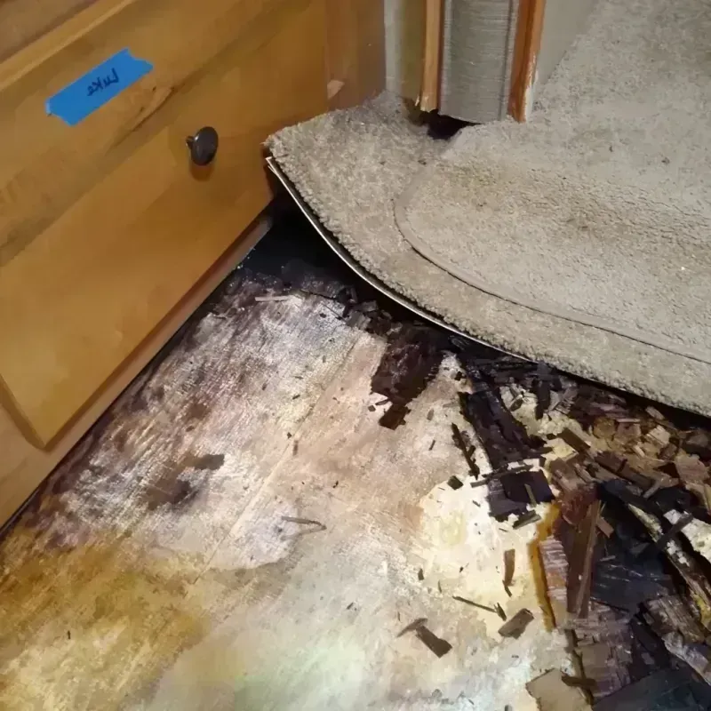 Best Wood Floor Water Damage Service in Cottonwood, AZ